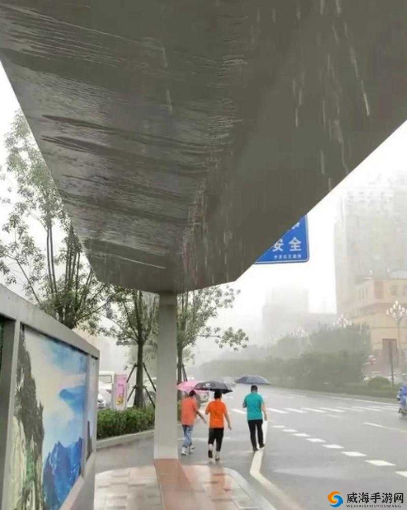 下雨天公交车站避雨技巧：巧用站台避雨