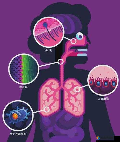 男配每天都在体内成结节：这可怎么办