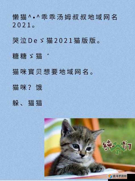 新版猫咪地域网名入口下载：快速获取猫咪游戏资源