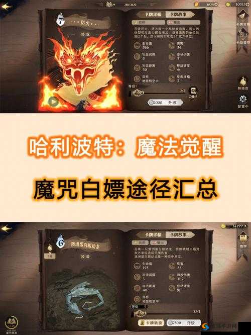 哈利波特魔法觉醒：寻找最强求球手之终极打法攻略秘典