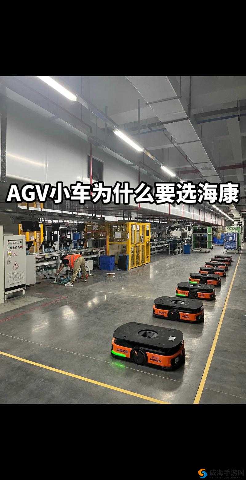 agv 亚洲版和欧洲版买哪个：区别与选择