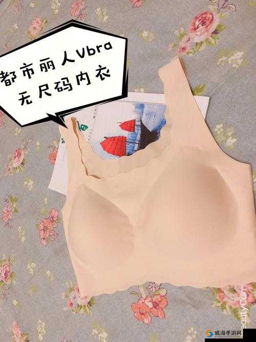 无尺码精品产品有哪些新选择：内衣、家居服、运动装备等