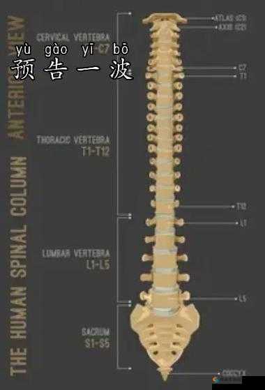 诸葛先生留步电脑版下载及模拟器畅玩推荐