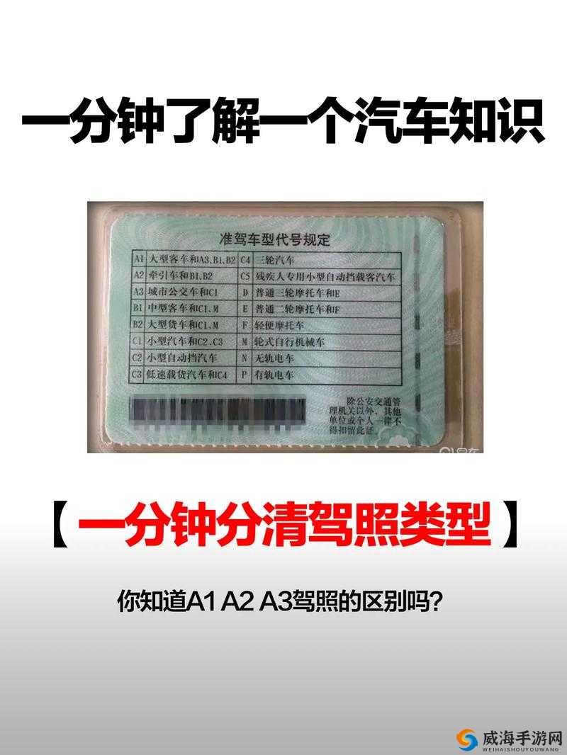 国产 A1A2A3：关于它们的介绍