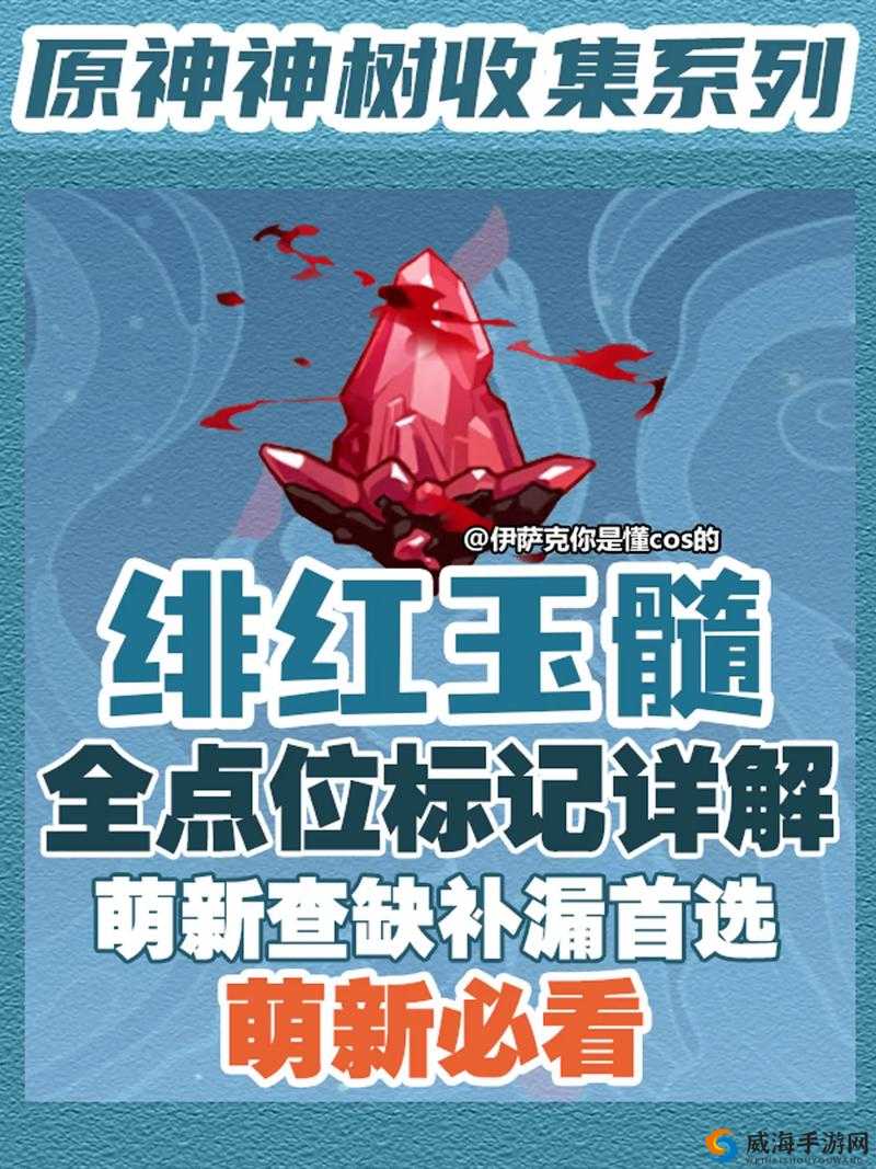 星际战甲土星结合点任务攻略详解