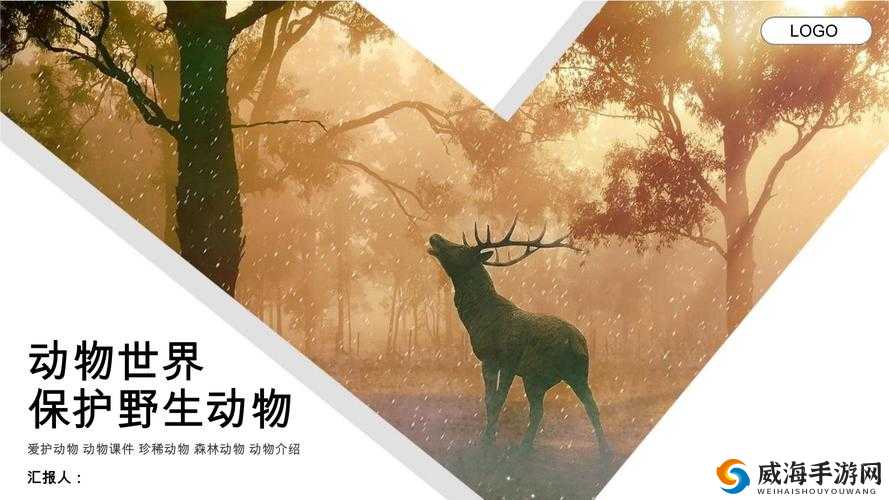 人与动物 PPT 免费模板：精彩呈现的世界