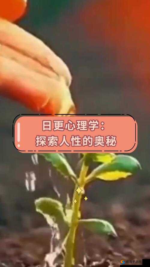 仙踪林老狼贰佰信息网：探索自然与人性的奥秘