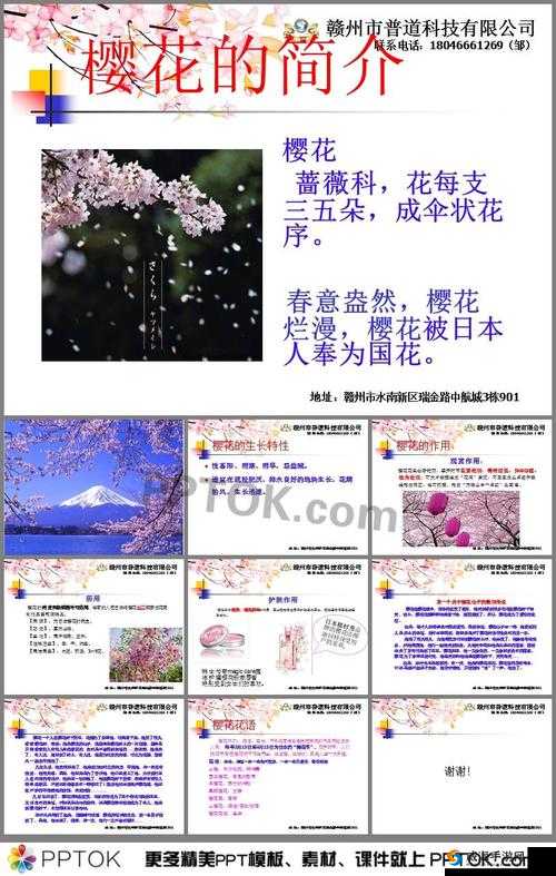 樱花成品 PPT 的网站免费观看：海量资源等你