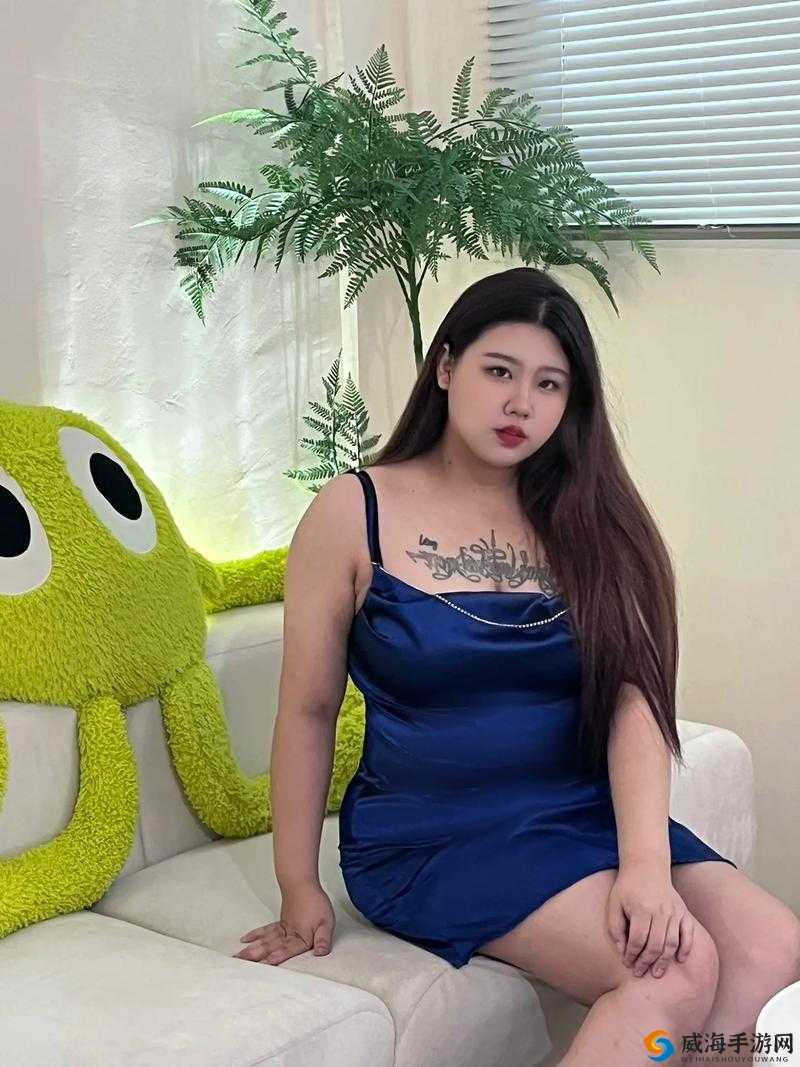 胖老太 BBwBBWBBW：独特魅力的别样呈现