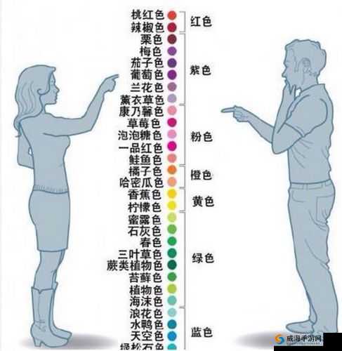 色色研究所关于颜色与情感关系的深入探究与分析