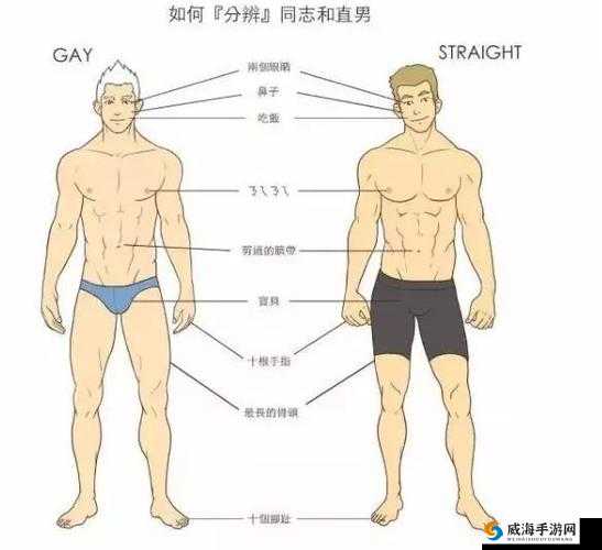 男男纯肉 GAY 无码视频日本动漫：探索禁忌之爱的极致美学