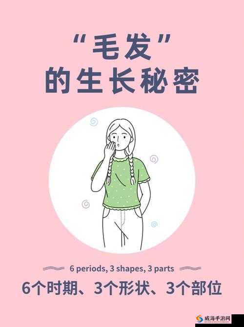 女人毛太多：探索私密毛发的秘密与影响