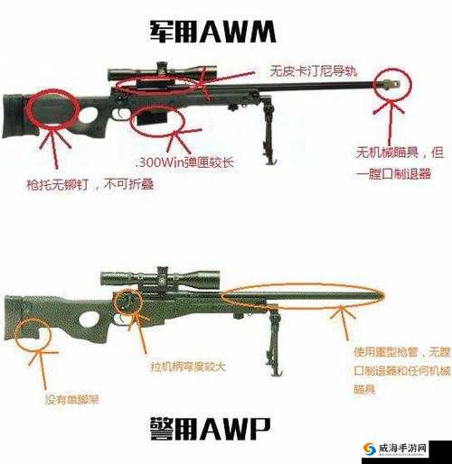 日本 CSGO 大姐姐 AWP 价格：火辣热枪等你来拿