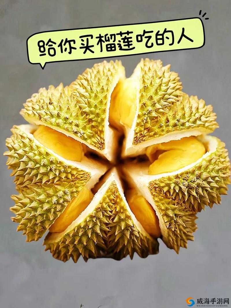 富二代的甜蜜烦恼：榴莲草莓与豆奶的奇妙碰撞