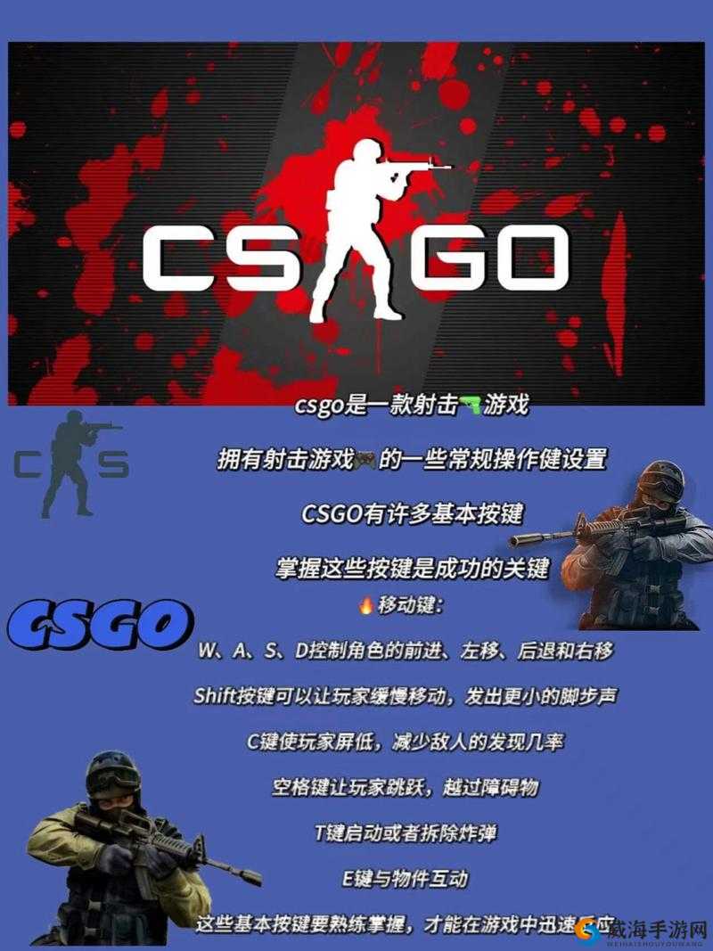 暴躁老阿姨CSGO技巧大全：从入门到精通秘籍分享