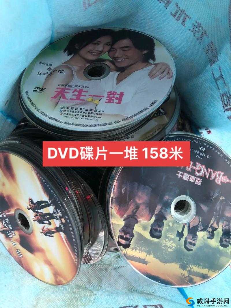 享受高清 DVD 碟片播放，感受震撼视觉体验