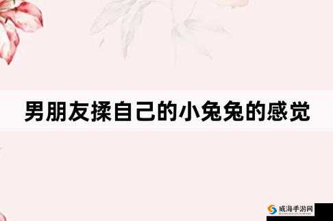 男生奇妙体验：吸小兔兔时的独特感觉究竟如何