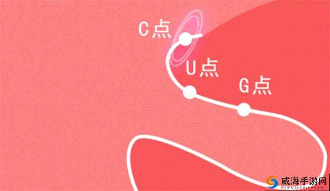 探索自 W 到高 C 的 26 种方法全解析及实用指南