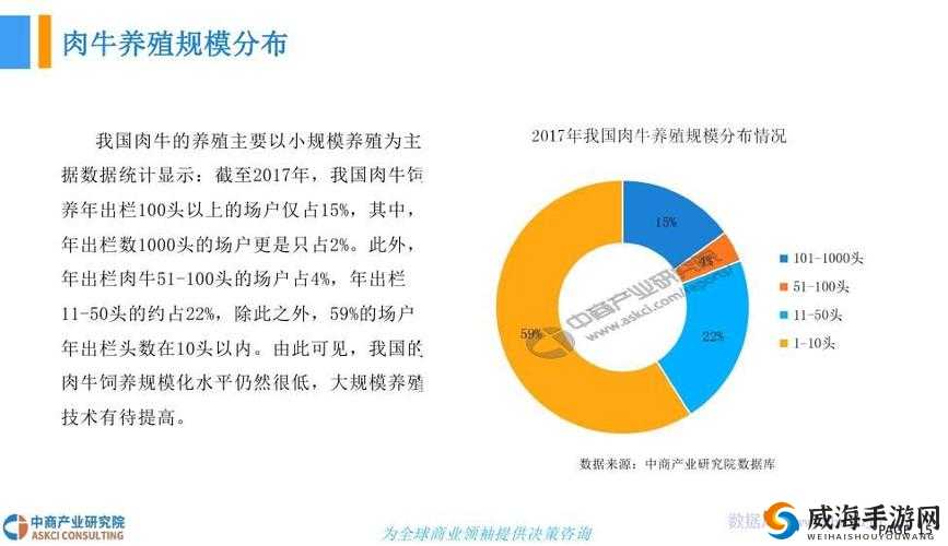 亚洲区欧美日韩综合之全面分析与深入探讨及未来发展趋势研究