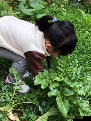 猛躁女人密拔萝卜网站：探索男性欲望的神秘世界