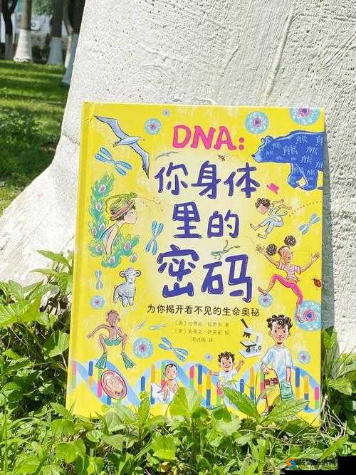 人与 DNA 的 DNA 免费：探索生命奥秘的新契机