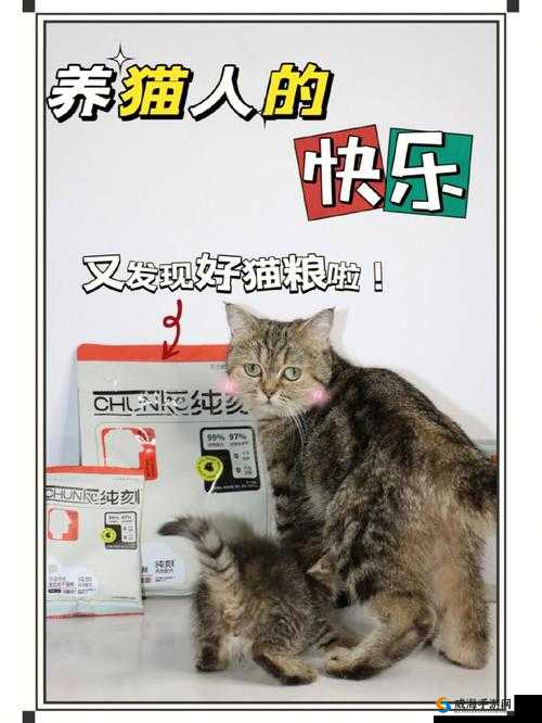 猫粮拔萝卜软件：教你轻松养猫，快乐生活