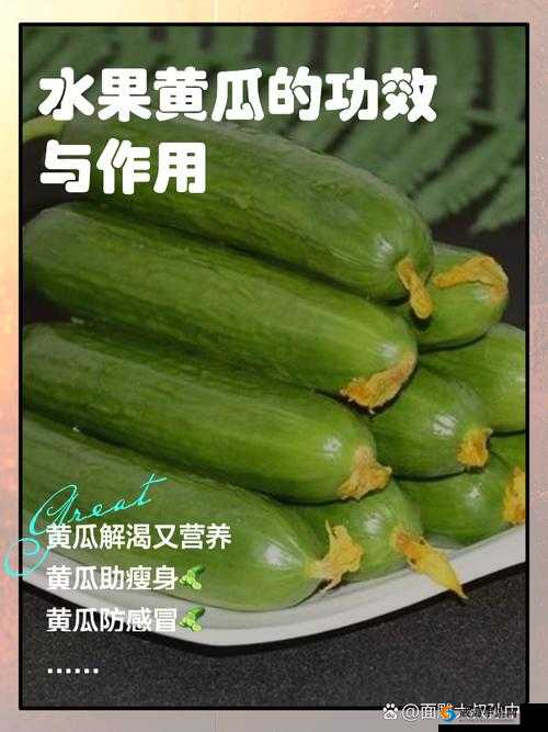 午夜刺激：黄瓜西瓜葡萄榴莲，一场水果与蔬菜的奇妙冒险