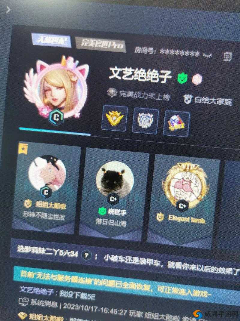 暴躁老阿姨 csgo 暴躁妹妹：带你领略不一样的游戏世界