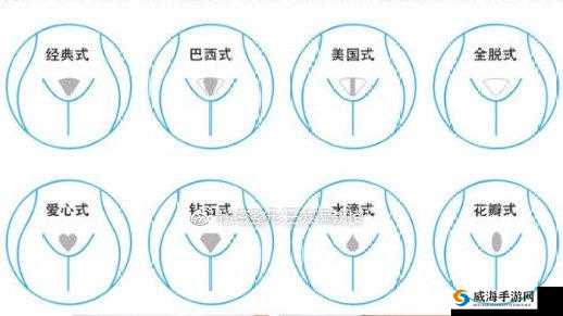 欧美肛交口爆二维码：揭秘两性私密话题的密码