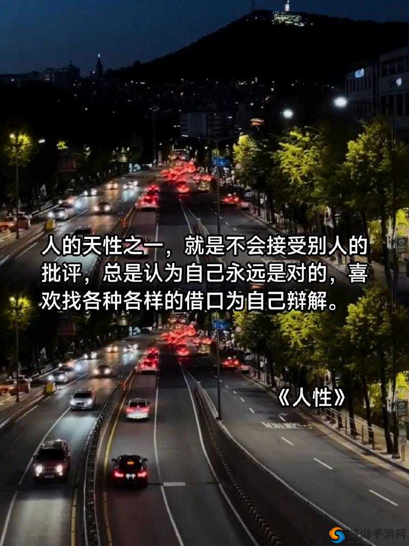 午夜理论：探索人性的奥秘