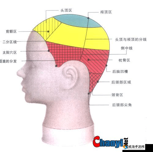 日韩分区二的区别：划分标准与影响差异