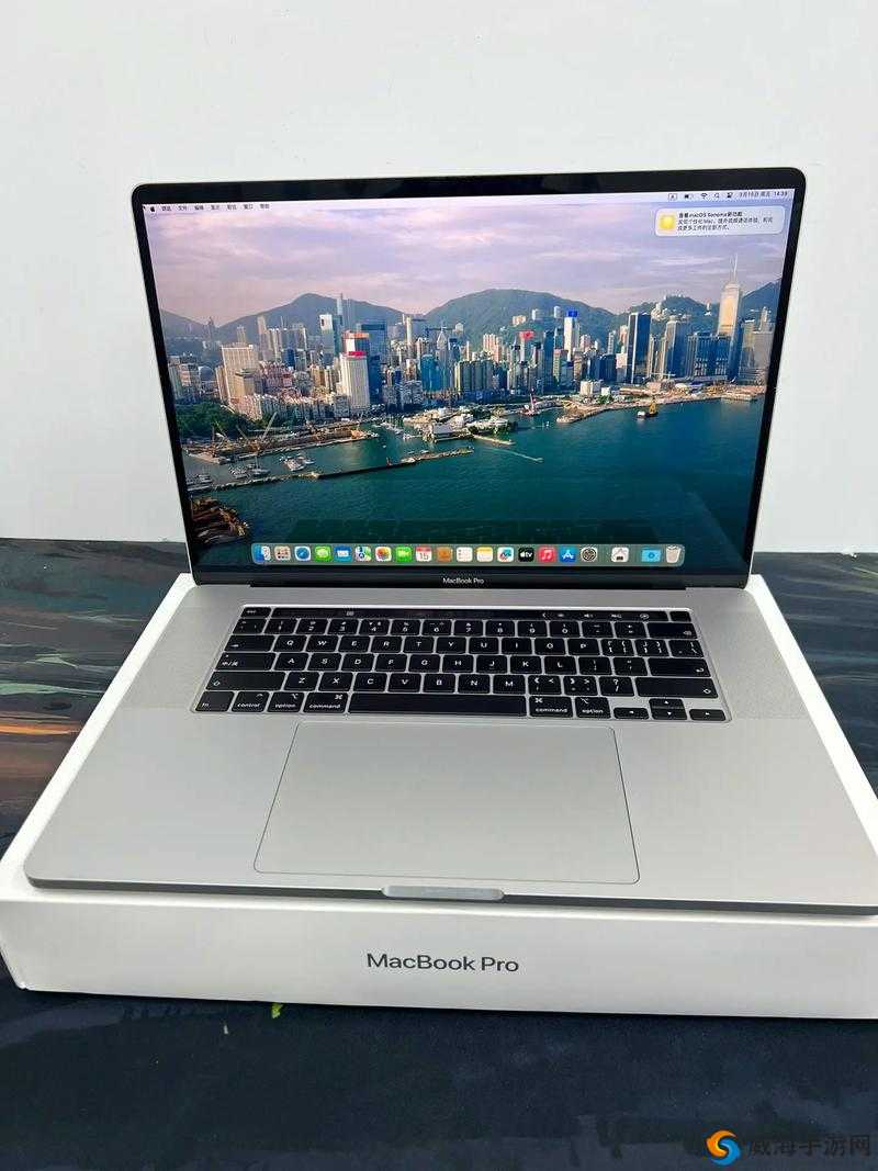 欧美 MACBOOKPRO 高清：极致视觉体验的卓越之选