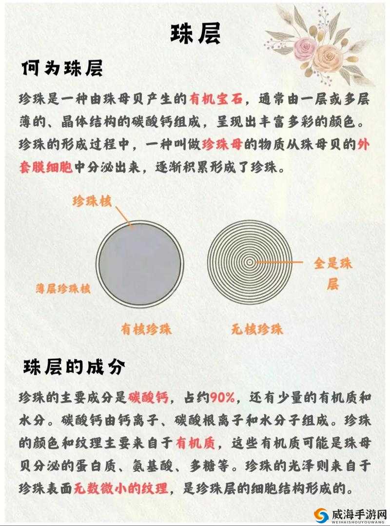 两人轮流取珠问题谁能更胜一筹之深入探究与分析