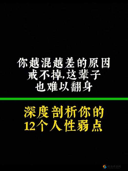 里面也请好好对待五集：深度剖析背后的精彩内涵