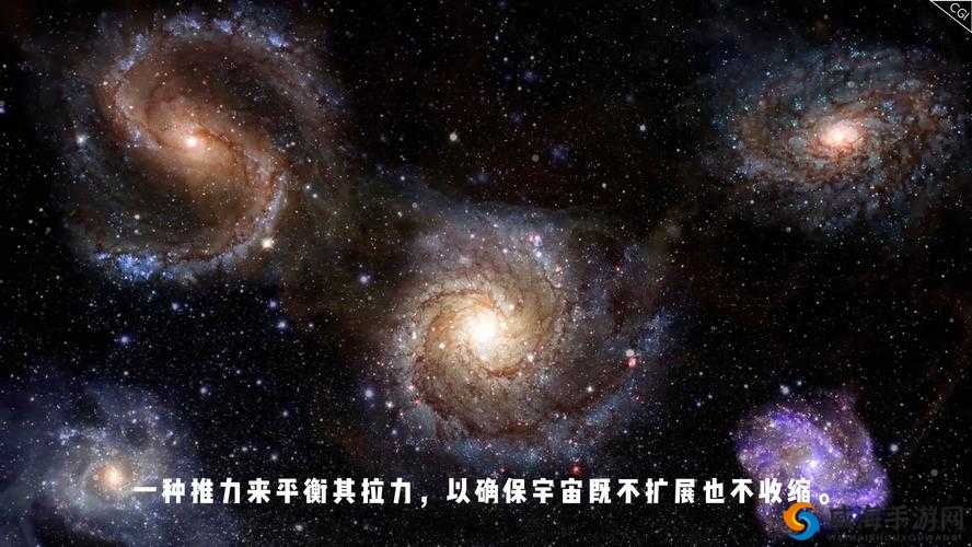 探索完整的性巴克：揭秘未知的奥秘