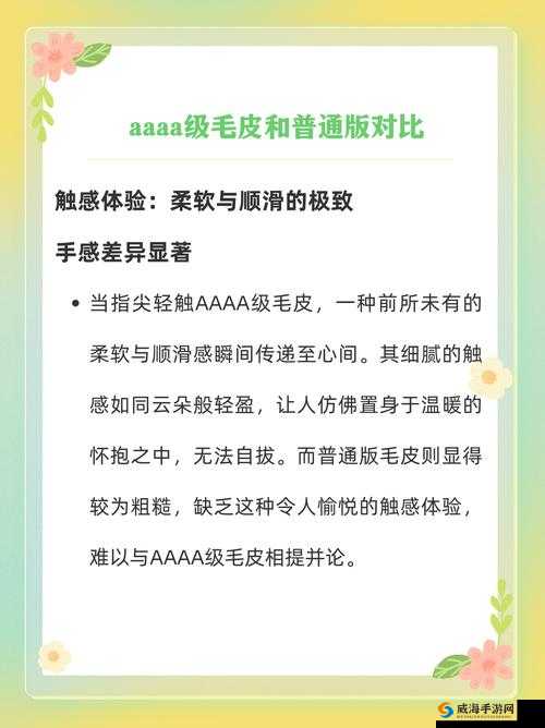 aaaa 级毛皮最简单三个标志轻松识别：让你快速掌握的实用指南