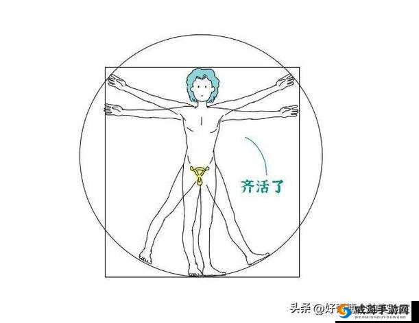 探索男性勃起全过程：从生理到心理的奇妙旅程