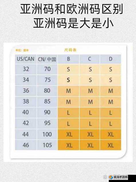 欧美尺码专线欧洲 B1B1：精准对接欧洲市场，提供一站式物流解决方案