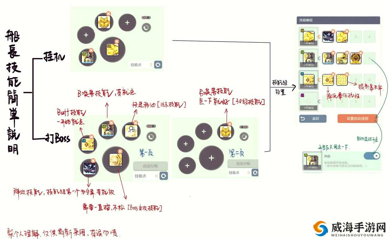 探索海盗世界，深度解析罗宾船长个人简介及其独特技能详解