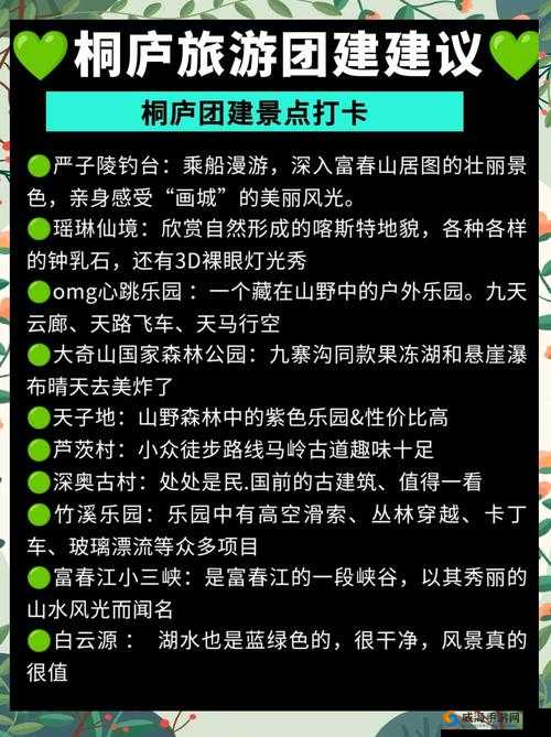 全民精灵新手必备，全面解析常见误区，助你避开雷区快速成长之旅