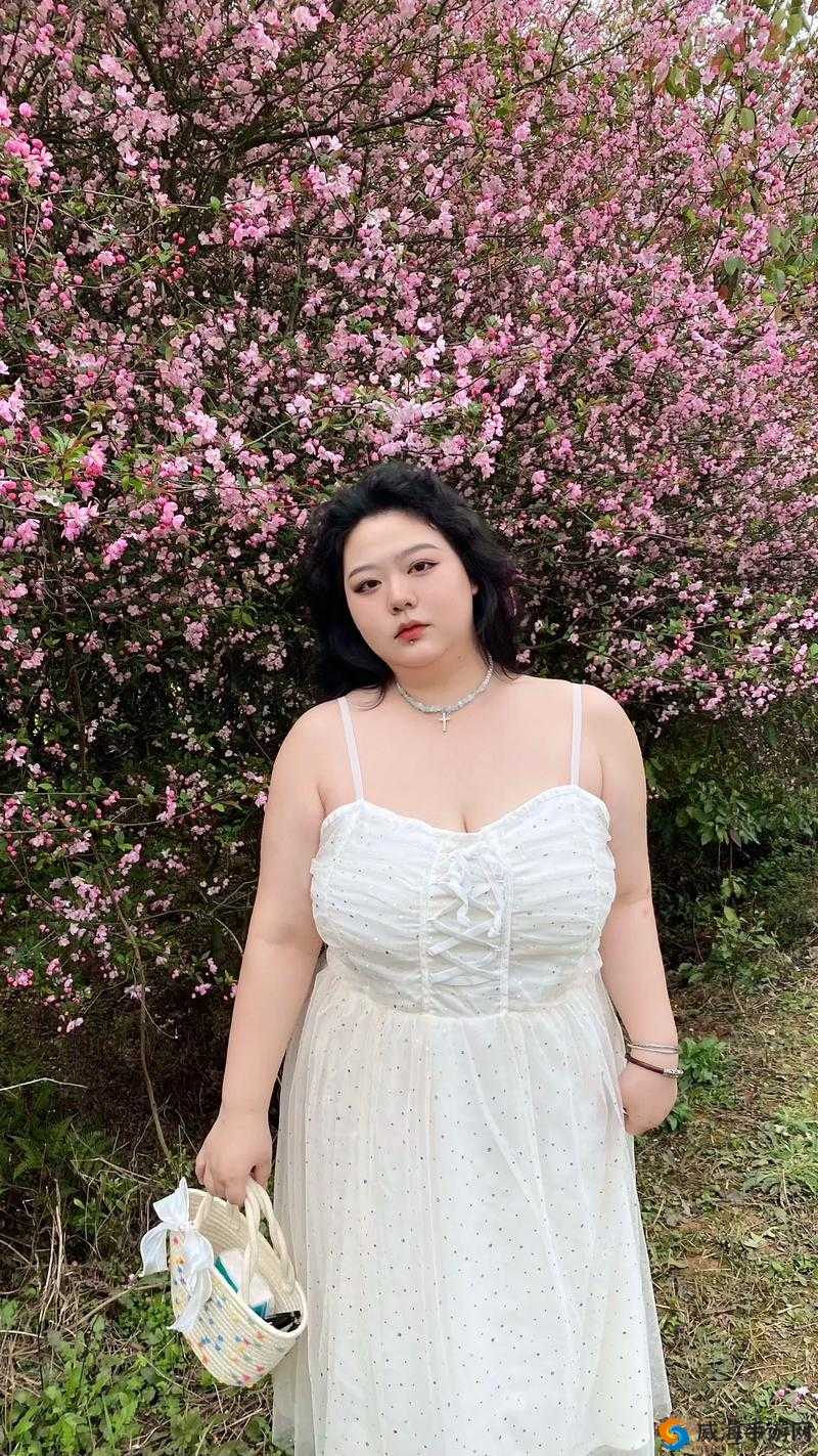 ：另类老妇奶性生 BBwBBw：探索未知的性世界