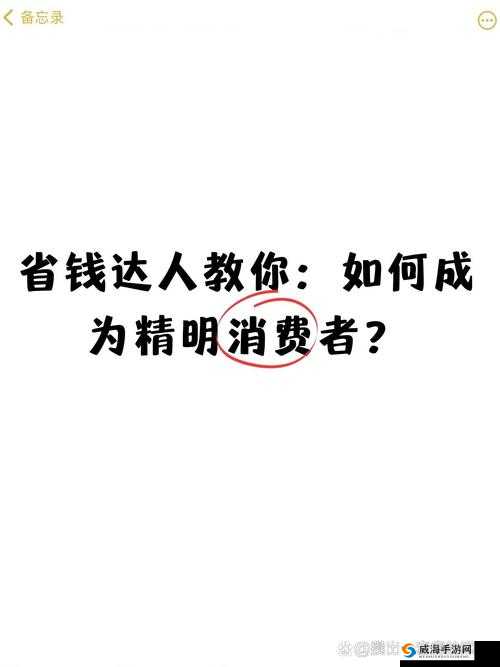 胜利足球省钱秘籍，精明消费策略大公开，助你畅享足球乐趣不剁手