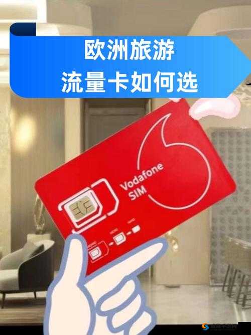 欧洲 VodafoneAPN 相关设置及使用指南