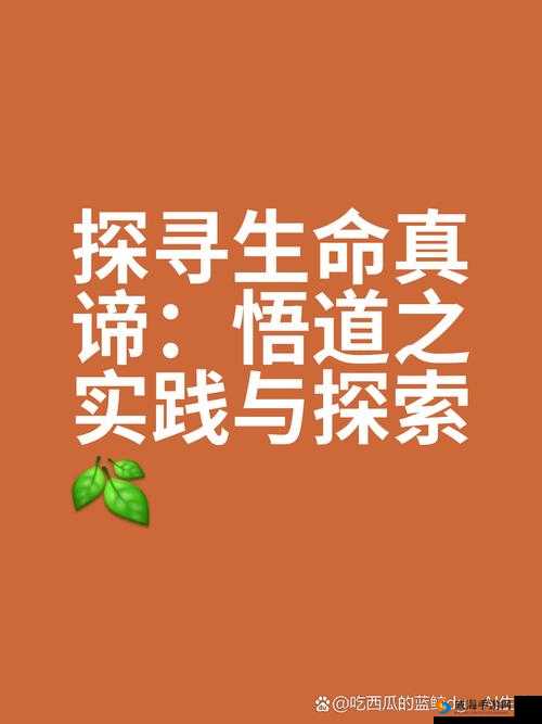 呦呦稀缺入口：探索未知的神秘领域