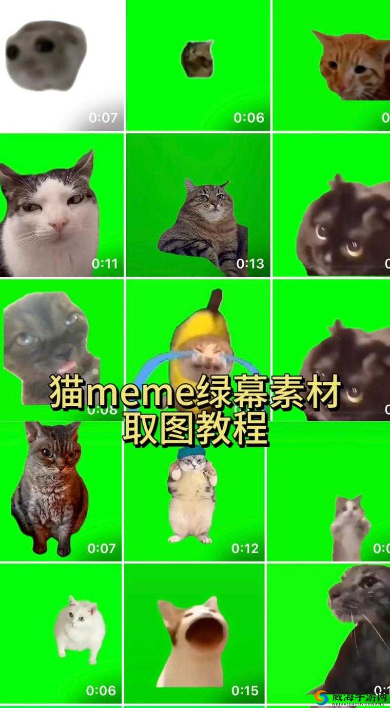 bttitbtkitty 可爱猫咪的奇妙之旅