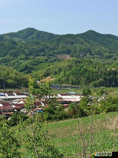 东北山村：那些年的纯真爱情与质朴生活