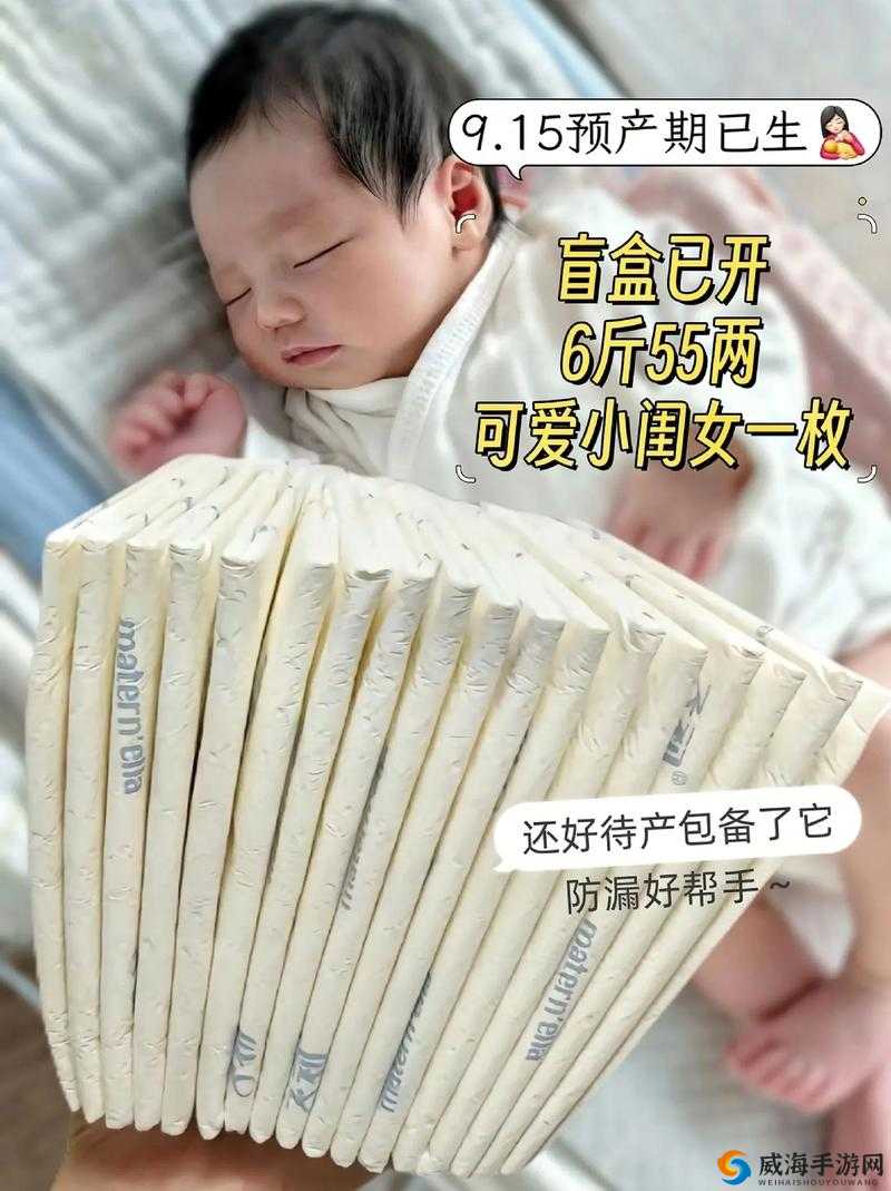 已满十八岁记得带纸力：成年之际，莫忘携带卫生纸