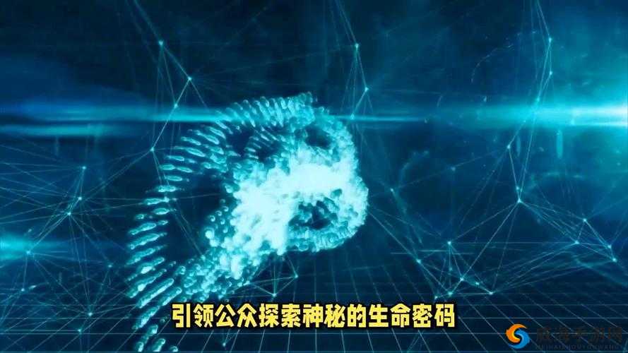 干干网：引领独特网络世界探索之旅