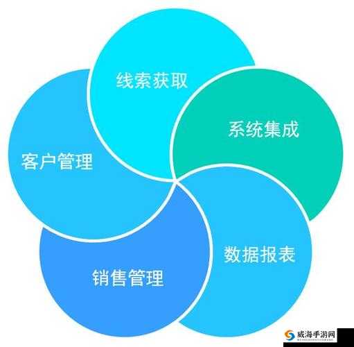 在线 crm：提升客户关系管理效率的利器