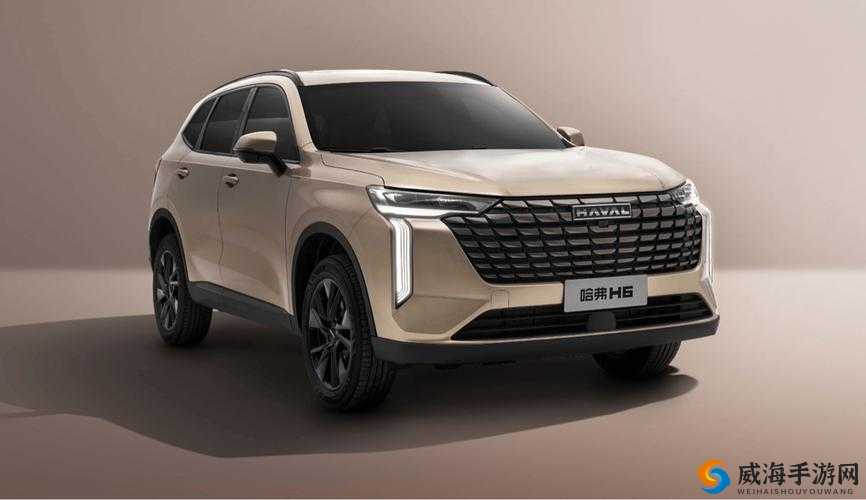 国产 SUV 精品一区二区 69：引领 SUV 高品质风尚